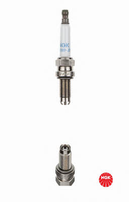 Buy NGK 8765 at a low price in United Arab Emirates!