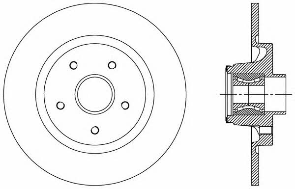 Open parts BDA2509.30 Rear brake disc, non-ventilated BDA250930