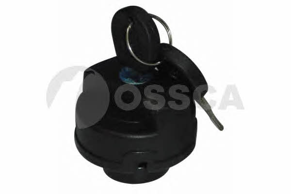 Ossca 01173 Fuel Door Assembly 01173