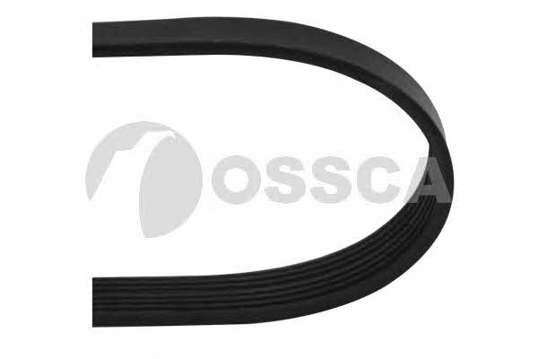 Ossca 07631 V-ribbed belt 6PK1556 07631