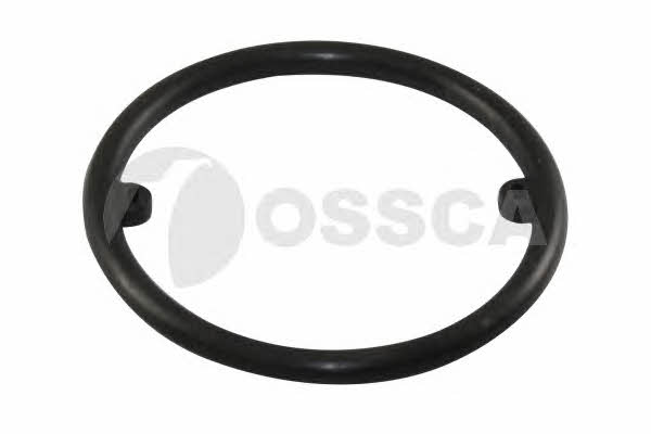 Ossca 04975 Ring sealing 04975