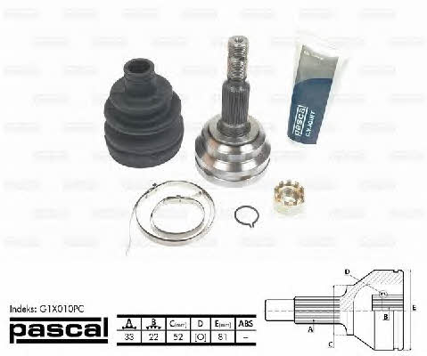 Buy Pascal G1X010PC at a low price in United Arab Emirates!