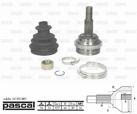 Pascal G1Y018PC Constant velocity joint (CV joint), outer, set G1Y018PC