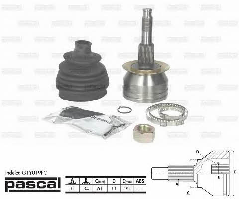 Pascal G1Y019PC CV joint G1Y019PC