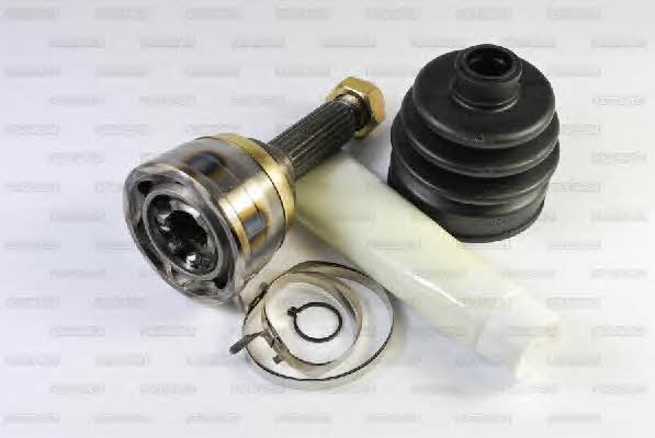 Pascal G10003PC Constant velocity joint (CV joint), outer, set G10003PC
