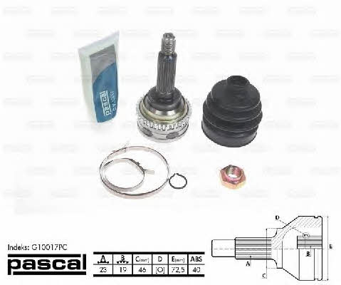 Buy Pascal G10017PC at a low price in United Arab Emirates!