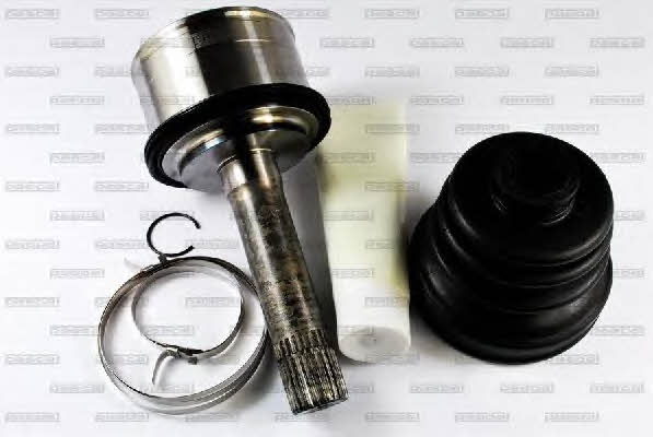 Pascal G10309PC Constant velocity joint (CV joint), outer, set G10309PC
