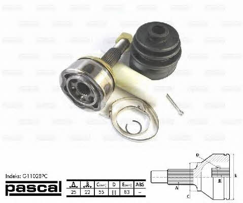 Buy Pascal G11028PC at a low price in United Arab Emirates!