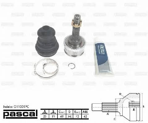 Buy Pascal G11039PC at a low price in United Arab Emirates!