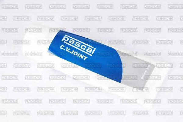 Buy Pascal G11052PC at a low price in United Arab Emirates!