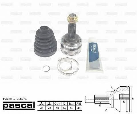 Buy Pascal G12082PC at a low price in United Arab Emirates!