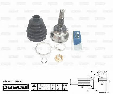 Buy Pascal G12088PC at a low price in United Arab Emirates!