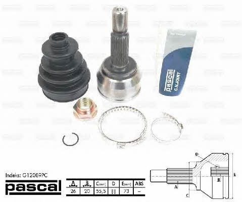 Buy Pascal G12089PC at a low price in United Arab Emirates!