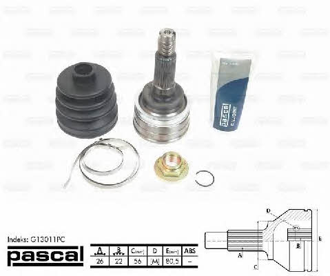 Buy Pascal G13011PC at a low price in United Arab Emirates!