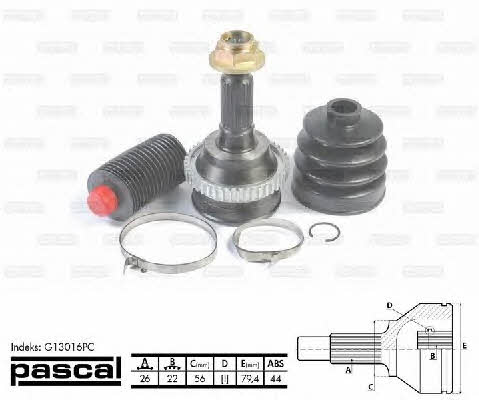 Buy Pascal G13016PC at a low price in United Arab Emirates!