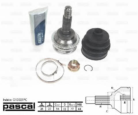 Pascal G13029PC Constant velocity joint (CV joint), outer, set G13029PC