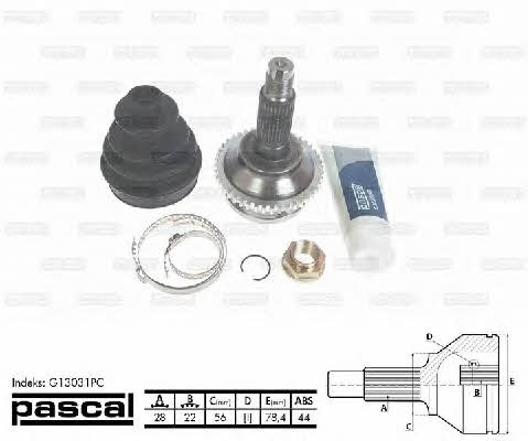 Buy Pascal G13031PC at a low price in United Arab Emirates!