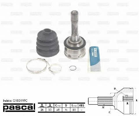 Pascal G18019PC Constant velocity joint (CV joint), outer, set G18019PC