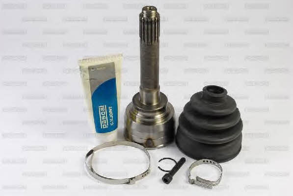 Pascal G19003PC Constant velocity joint (CV joint), outer, set G19003PC