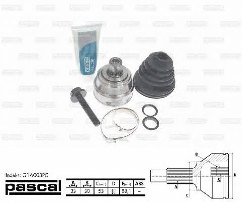 Buy Pascal G1A003PC at a low price in United Arab Emirates!