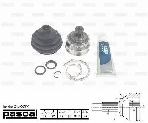 Pascal G1A005PC Constant velocity joint (CV joint), outer, set G1A005PC