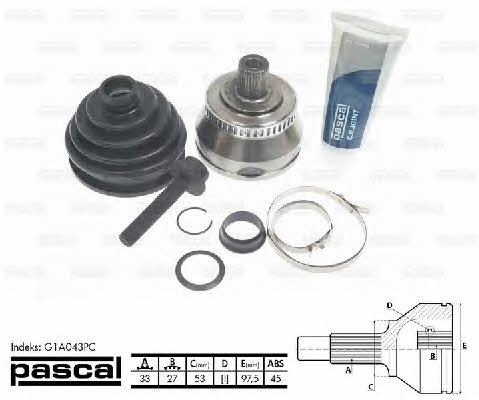 Buy Pascal G1A043PC at a low price in United Arab Emirates!