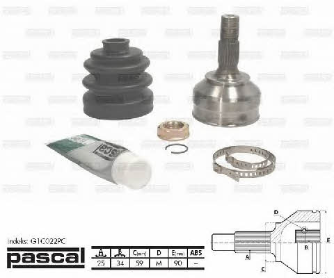 Pascal G1C022PC Constant velocity joint (CV joint), outer, set G1C022PC