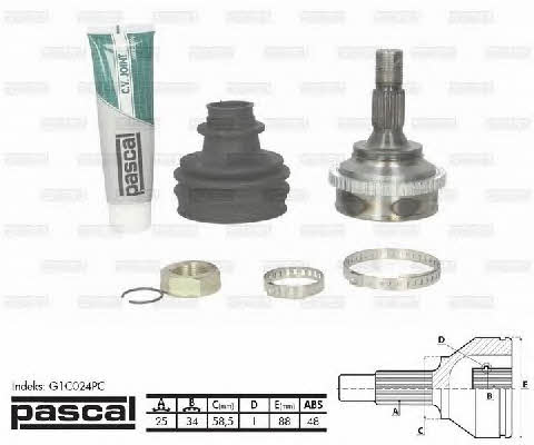 Pascal G1C024PC Constant velocity joint (CV joint), outer, set G1C024PC
