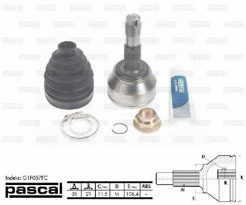 Buy Pascal G1F057PC at a low price in United Arab Emirates!