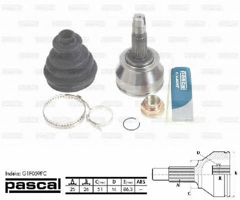 Buy Pascal G1F059PC at a low price in United Arab Emirates!