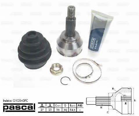 Buy Pascal G1G040PC at a low price in United Arab Emirates!
