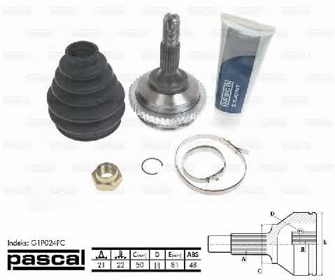 Buy Pascal G1P020PC at a low price in United Arab Emirates!