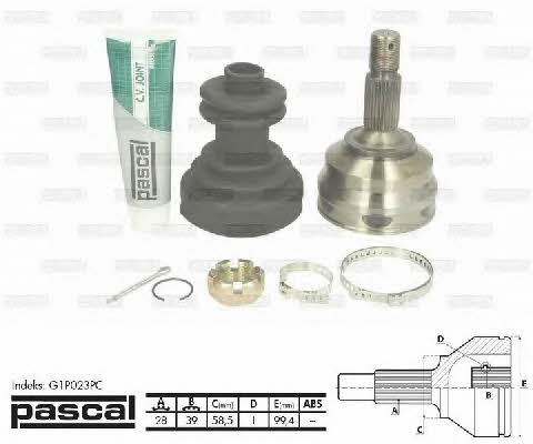 Pascal G1P023PC Constant velocity joint (CV joint), outer, set G1P023PC