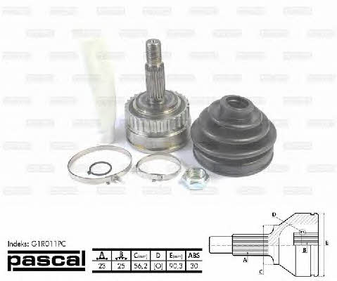 Buy Pascal G1R011PC at a low price in United Arab Emirates!