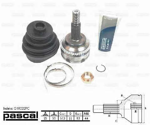Constant velocity joint (CV joint), outer, set Pascal G1R022PC