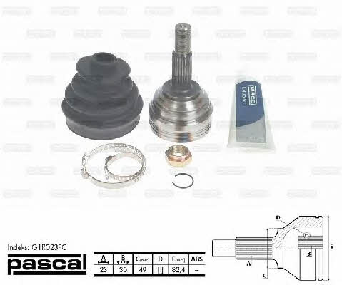 Buy Pascal G1R023PC at a low price in United Arab Emirates!