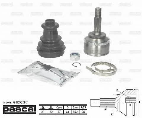 Pascal G1R025PC Constant velocity joint (CV joint), outer, set G1R025PC