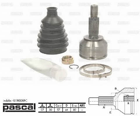 Pascal G1R028PC Constant velocity joint (CV joint), outer, set G1R028PC