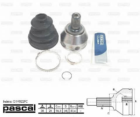 Buy Pascal G1V022PC at a low price in United Arab Emirates!