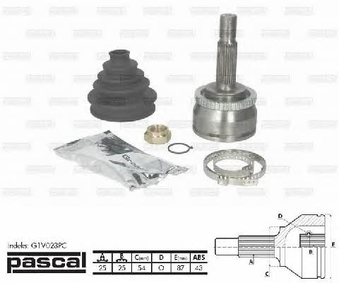 Pascal G1V023PC Constant velocity joint (CV joint), outer, set G1V023PC