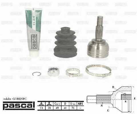 Pascal G1R029PC Constant velocity joint (CV joint), outer, set G1R029PC