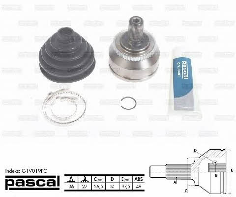 Buy Pascal G1V019PC at a low price in United Arab Emirates!