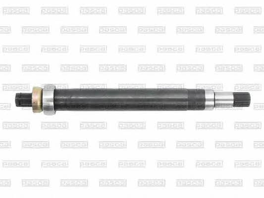 Buy Pascal G8G008PC at a low price in United Arab Emirates!