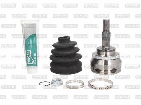 Buy Pascal G1R033PC at a low price in United Arab Emirates!