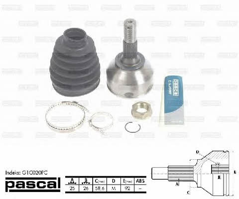 Buy Pascal G1C020PC at a low price in United Arab Emirates!