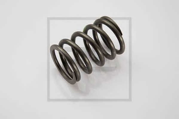 PE Automotive 030.350-00A Valve spring 03035000A