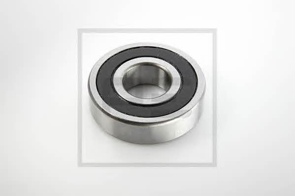 PE Automotive 100.203-00A Input shaft bearing 10020300A
