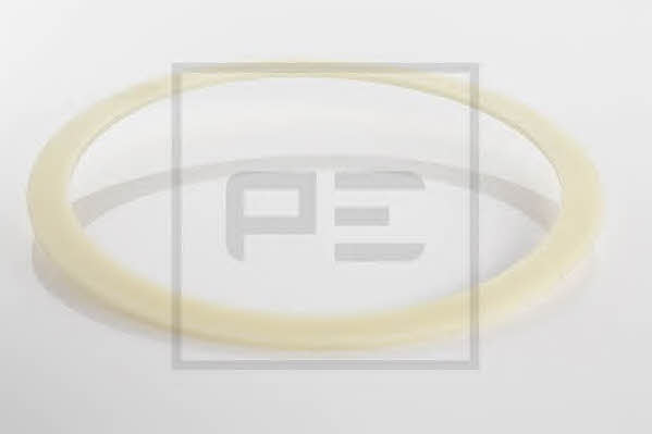 PE Automotive 044.109-00A Ring sealing 04410900A