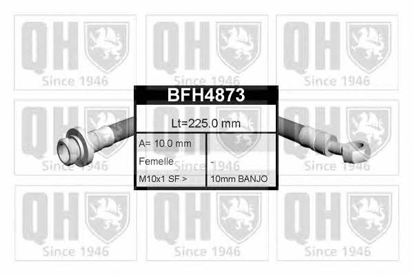 Quinton Hazell BFH4873 Brake Hose BFH4873