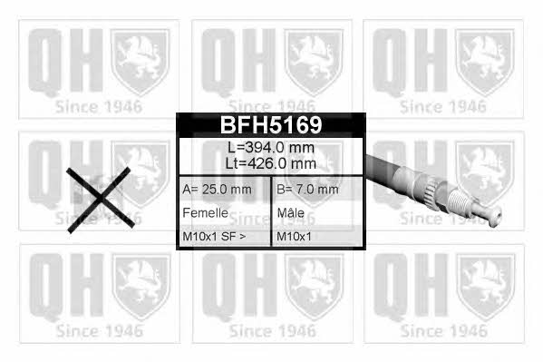 Quinton Hazell BFH5169 Brake Hose BFH5169